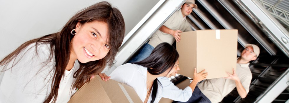 Professional Removalists Avondale Heights